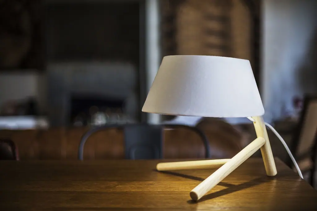 RADICE lampada: Minimale, essenziale, di sapore scandinavo.